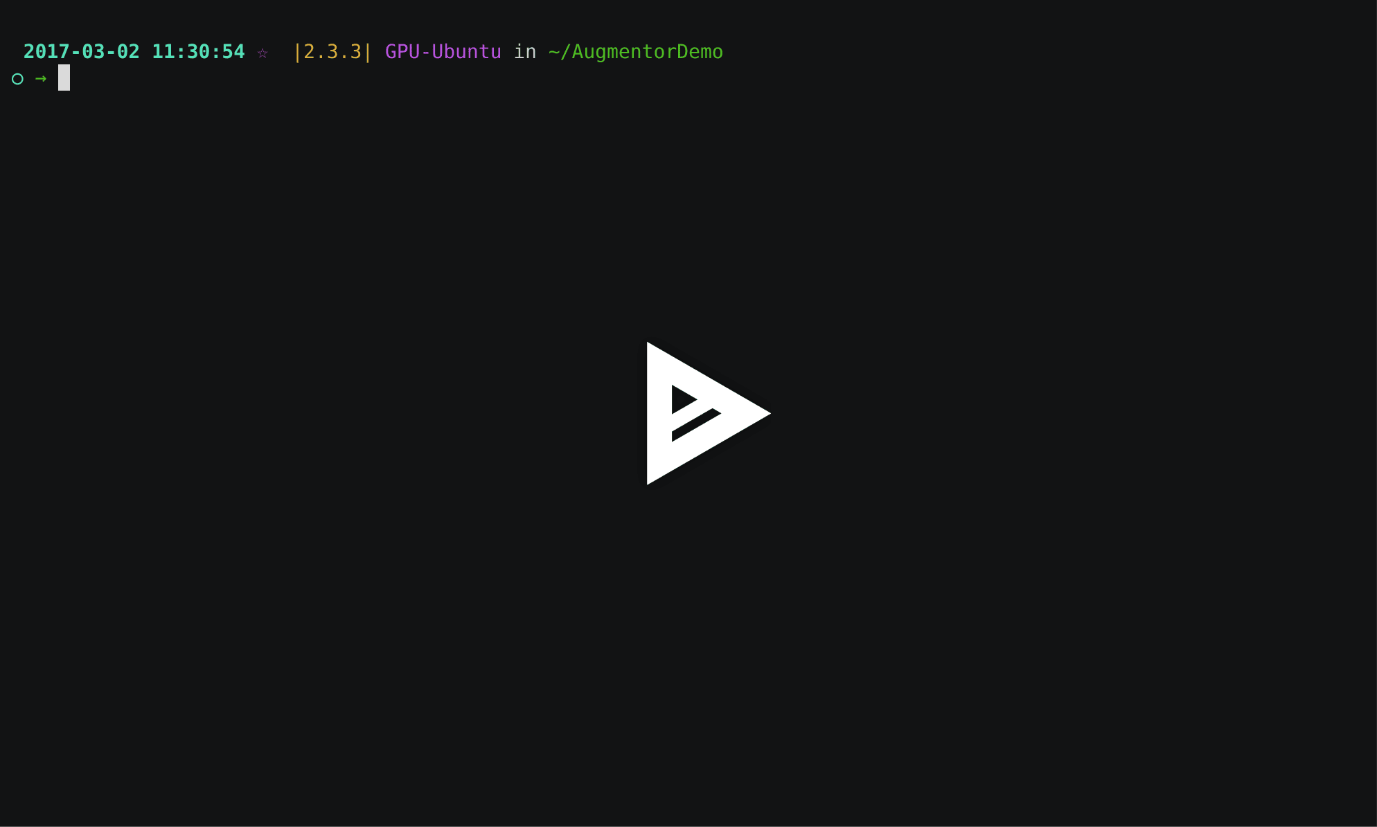 asciicast