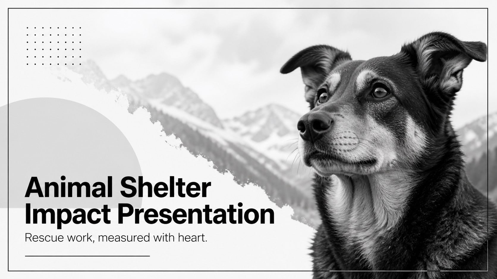 Animal Shelter Impact Presentation