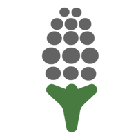 User avatar: