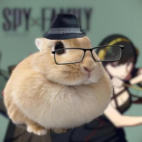 User avatar: