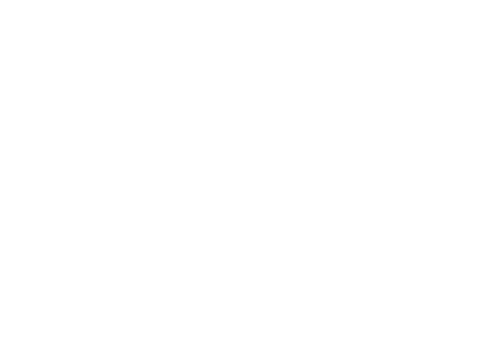 Argmax Logo