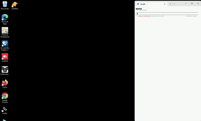 Demo