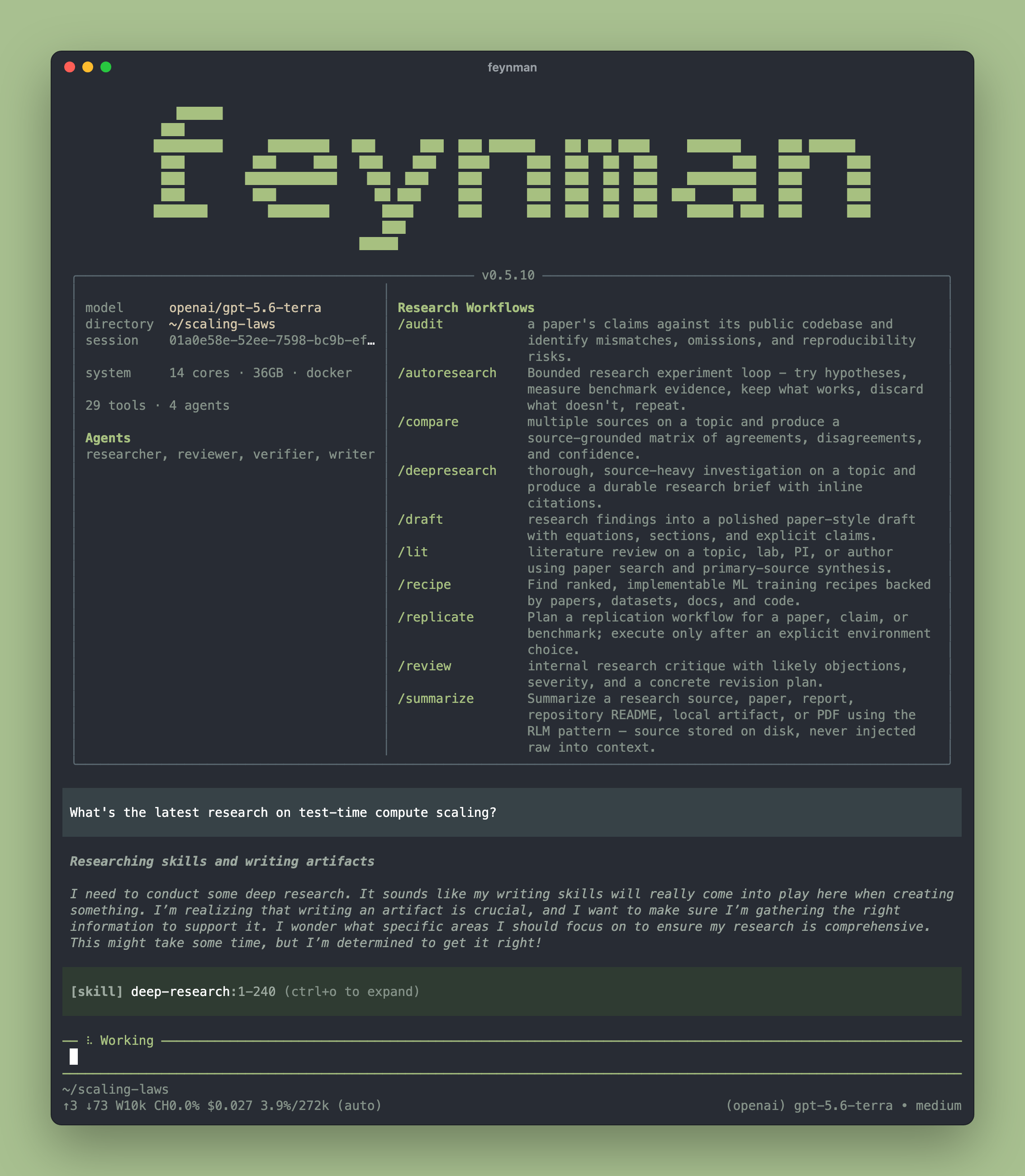 Feynman CLI