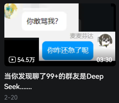 麦麦演示视频