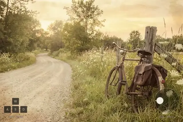 Country Lane