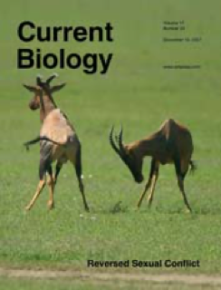 Current Biology