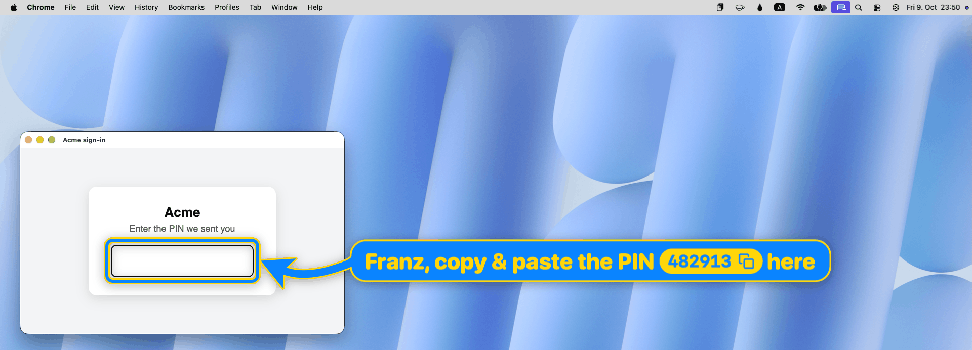 A made-up sign-in page asks for a PIN; a blue arrow with a yellow border points at the empty field: Franz, copy & paste the PIN 482913 here, the PIN on a yellow copy button
