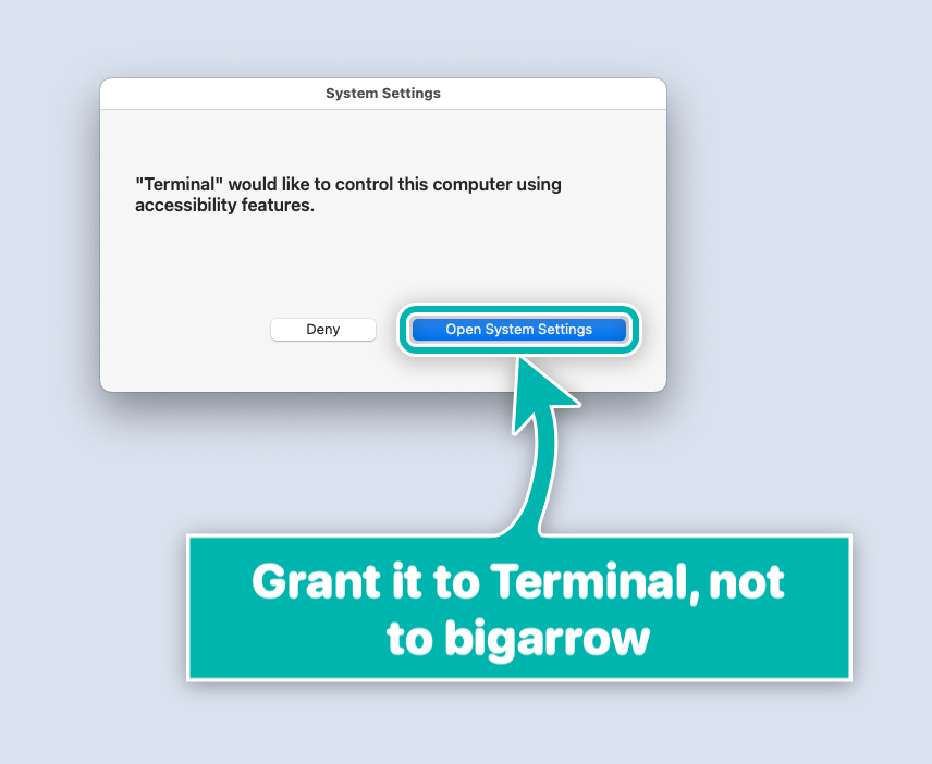 Grant Accessibility to Terminal, not to bigarrow