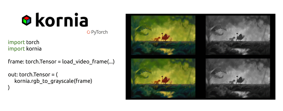 kornia examples