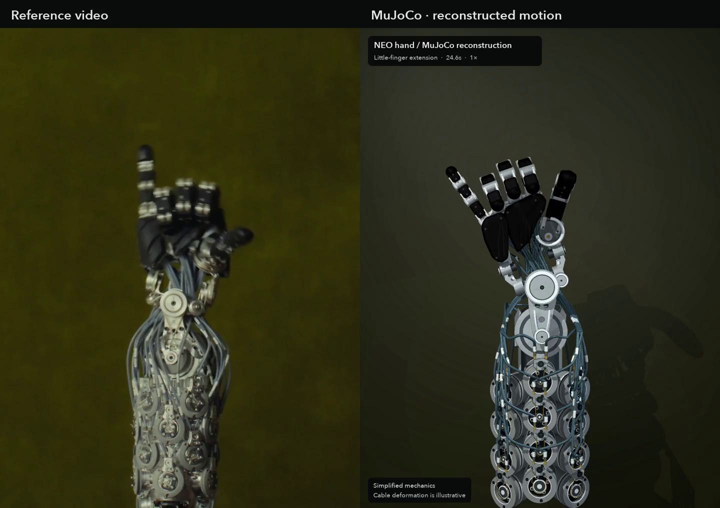 Partial rope-driven hand reconstruction in MuJoCo