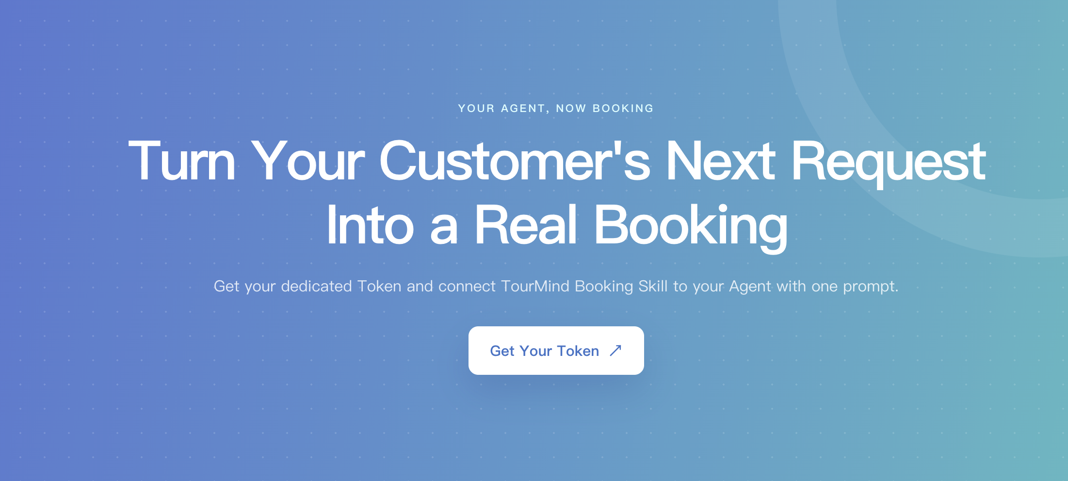 TourMind Booking Skills