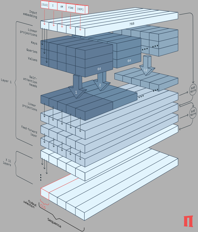 Transformer (BERT encoder)