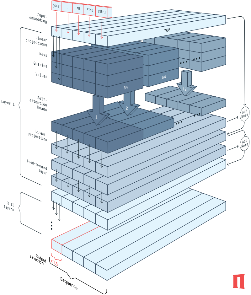 Transformer (BERT encoder)